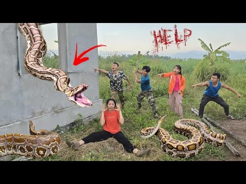 Brave Expert Rescue Ethnic Girl Attacked By Anaconda In Abandoned House