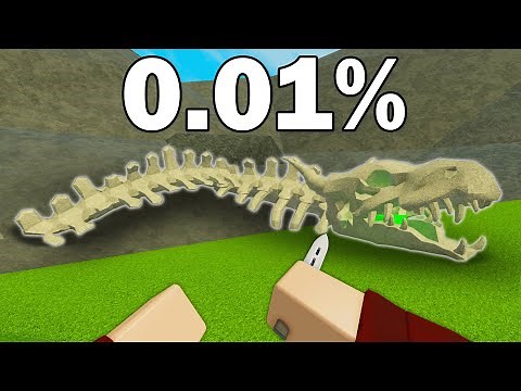 I Found Roblox Arsenal's RAREST Secrets..