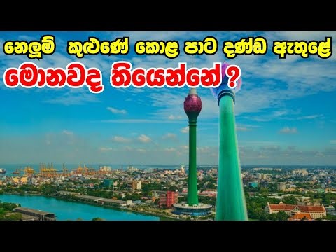 කොළ පාට දණ්ඩ ඇතුළේ මොනවද තියෙන්නේ ?