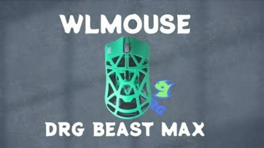 Apakah ini mouse yang benar-benar digunakan pemain pro? | WLMouse DRG X Beast Max