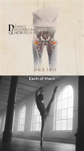 Anatomy for Dancers - Understand your body to enhance flexibility, turnout, and strength Watch more on www.dance-masterclass.com 🩰 About this class Discover fundamental principles of your anatomy and its relevance to your dancing. Luke Abnett shares invaluable information on key parts of your anatomy, showing how understanding it can advance your skills. Focus on core, hips, and feet for safe and efficient technique progression. Apply this knowledge to training as Luke demonstrates the practica