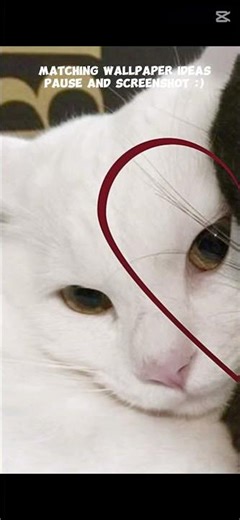 Matching duo wallpapers