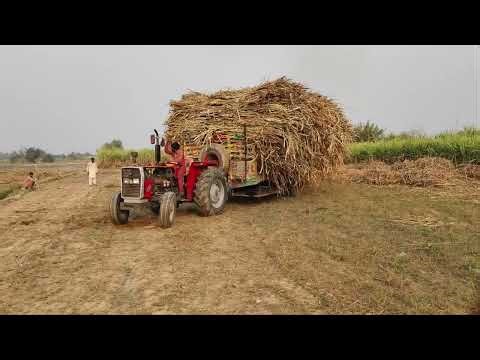 260 modil 2022 full lod tarla gana lod nekal raha hay😰#fullviralvideo #youtube #vlog #villagelife ✌