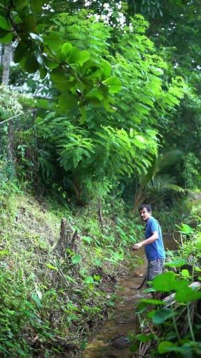 Delicious Almond Recipes for Cooking and Lifestyle