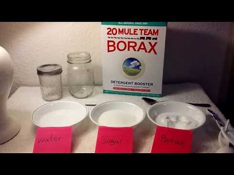 Borax and DIY Ant Trap (with educational, health, and safety facts using all natural Borax).