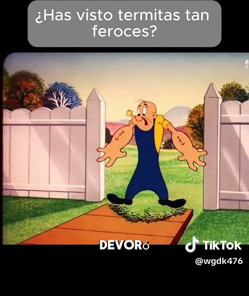 Effective Solutions for Termite Control in Homes