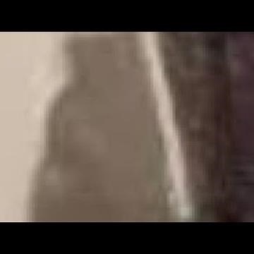 cat in blender video twitter | Cat in a blender video sparks widespread outrage online