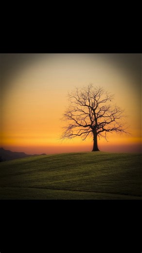 Make Your Photo Cinematic with Vignette in Photoshop ✨