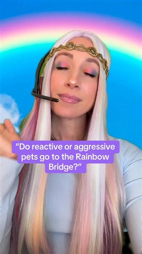 4.5K views · 582 reactions | The Rainbow Bridge wants you to know...