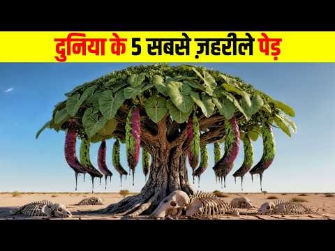 दुनिया के 5 सबसे ज़हरीले पेड़ | 5 Most Poisonous Trees in the World, in Hindi