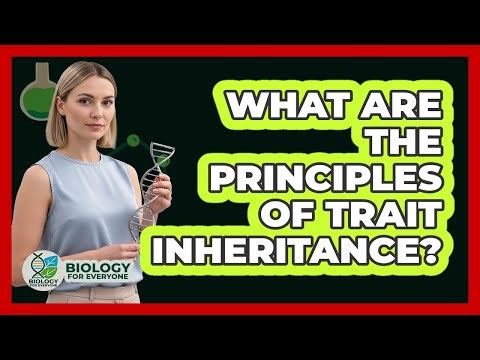 What Are The Principles Of Trait Inheritance?