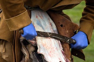 6 Easy Steps to DIY Tanning a Deer Hide