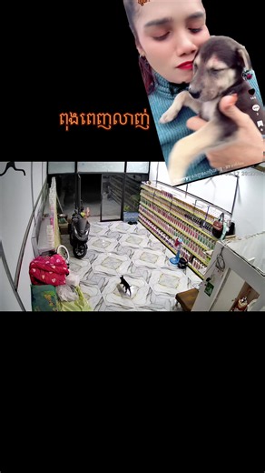 វីដេអូ​របស់ Cherryម្ចាស់ប្រេនសាបូ៍វេតមន្ត (@cherry.cherry9731) ជាមួយ เสียงต้นฉบับ - Cherryម្ចាស់ប្រេនសាបូ៍វេតមន្ត