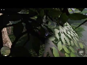 Playing apm on Roblox