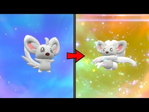 How to Evolve Minccino into Cinccino in Pokemon Scarlet & Violet DLC
