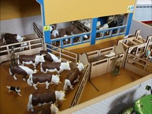 Classifying and Sorting