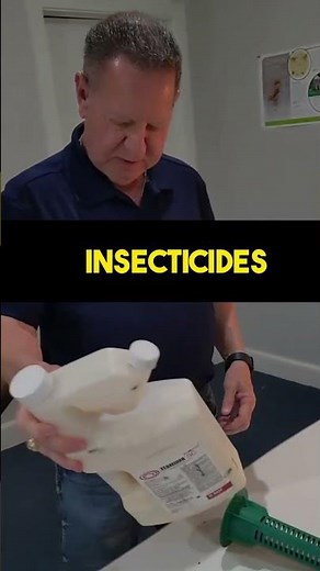 3 Ways to prevent Termites