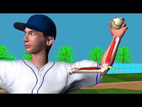 UCL Surgery - 3D Reconstruction