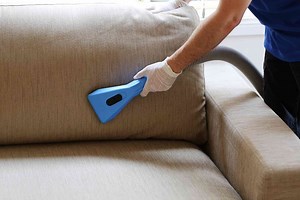 How Much Does Professional Upholstery Cleaning Cost? 2024 Latest Prices