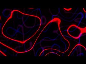 Abstract Red Neon Multicolor Lines Animation Video Background Loop || Free Footage