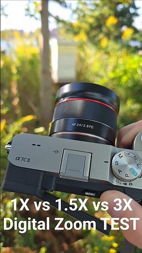 Digital Zoom Test 1X vs 1.5X vs 3X (Sony a7C2 Samyang 24mm f2.8) #cameratest #photography #nycparks