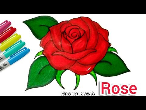 How To Draw + Colour A Rose / Open Rose Step by Step For Beginners | Cartooning cute drawings