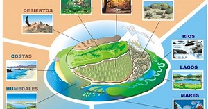 ¿Qué es un ecosistema?