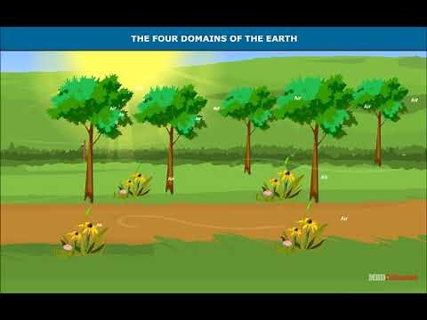 Major Domains of the Earth | Lithosphere | SST | Geography | Class 6