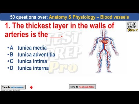 50 Blood vessel practice questions by professor | #bloodvessel | #bloodvessels #cardiovascularsystem