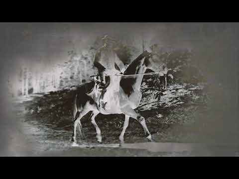 RDO Lobby Manager Guide