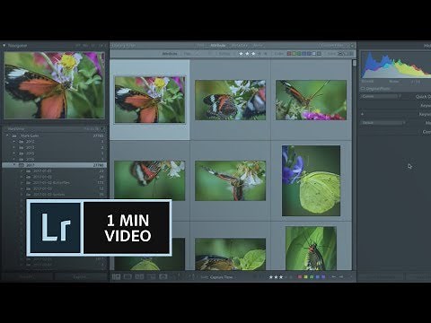 How to create a custom order in Lightroom