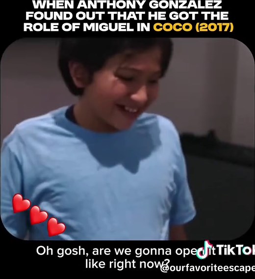 Frank the Disney Dad on TikTok