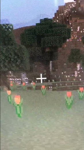 Minecraft Tutorial on how to place a budding amethyst block