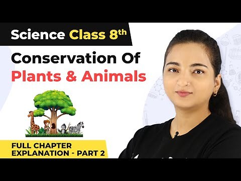 Class 8 Science Chapter 7 | Conservation Of Plants And Animals Full Chapter Explanation (Part 2)
