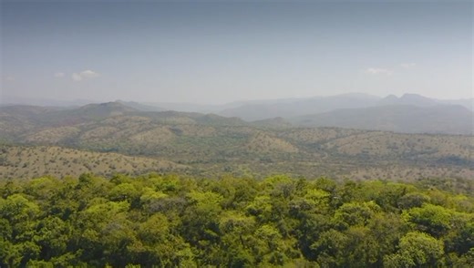 6.7K views · 108 reactions | Ethiopia's multidimensional developmental endeavors at continental and global level at large is led by practical Examples. | Ethiopian Embassy - Kuwait | Facebook