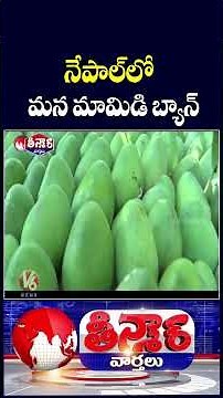 Nepal Banned Import Of Indian Mangoes | V6 Teenmaar