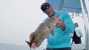 As part of the 2023 IGFA Online Auction, you and your guest could win a five day, four night stay at the Plantation Resort on Crystal River in Crystal River, Florida! Enjoy water-view accommodations at the beautiful eco-friendly and green luxury resort surrounded by the natural springs of Kings Bay, one of the largest aquifers in the state and home to more than 400 West Indian Manatees that migrate each year to the warmth of the springs. Trip also includes a Manatee Snorkel Tour for two and roun