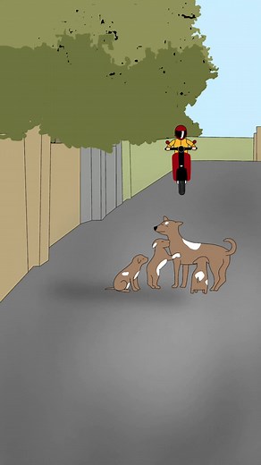 Understanding Animal Cruelty and Its Impact