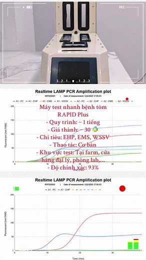 Kỹ thuật Real-time LAMP PCR trong xét nghiệm bệnh tôm