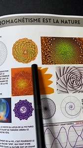 3K views · 80 reactions | La suite de Fibonacci https://www.facebook.com/share/1APNvj1RPE/ | ㋹む Nolâm ㋹む | Facebook