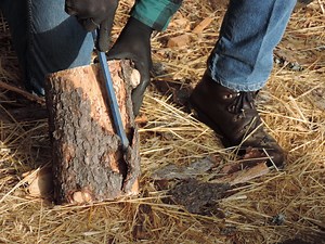 Should You Remove Bark From Firewood? | Country Homestead Living