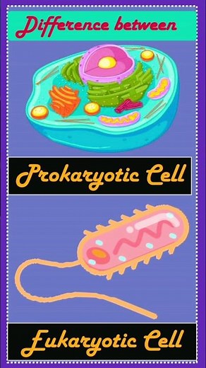 Difference between Prokaryotic cell and Eukaryotic cell || Fundamental Unit of life || NCRT