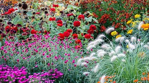 20 flower bed ideas: gorgeous, budget-friendly looks for front and back yards