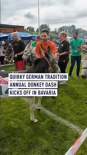 Quirky German tradition - annual donkey dash kicks off in Bavaria