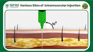 1.1K views · 52 reactions | Intramuscular (IM) Injection Sites?...
