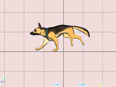Dog Running Animation