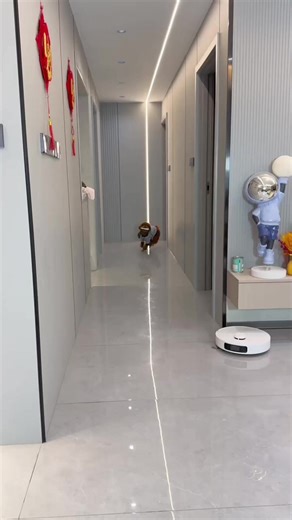 246K views · 5.4K reactions | What trick did boss Mao use藍藍 #smartdog #reel #pet #fb | Golden Retriever Smart | Facebook