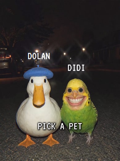 Dolan vs. Deedee: Which Pet Would You Choose?