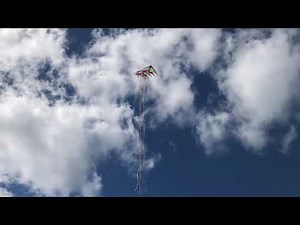 Prism Kites, Nexus 2.0, 5-stack flying high with Tails.
