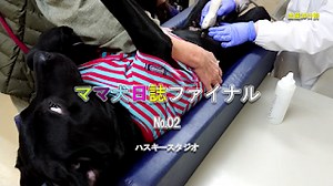 ExcelでSQLを使う-018: ソース公開-02 DBSelect関数（Excel←→Access）